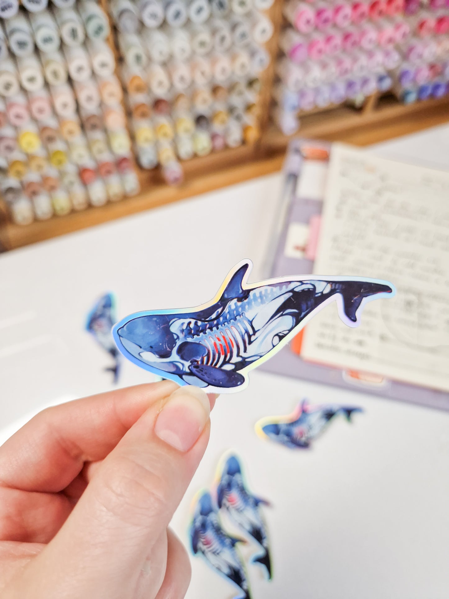 Star whale - halo sticker